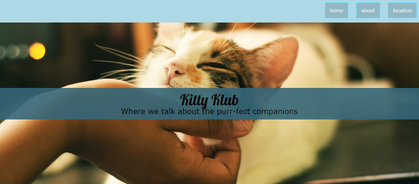cat club website example